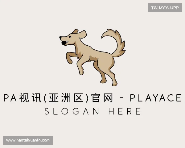 关于PA视讯(亚洲区)官网 - PlayAce